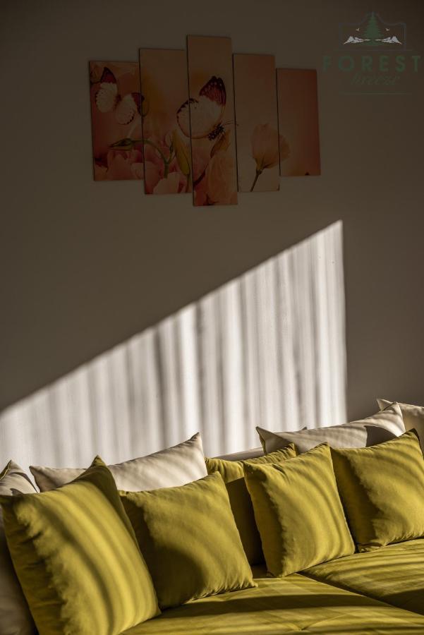 Forest Breeze Apartterrace Брашов Екстериор снимка