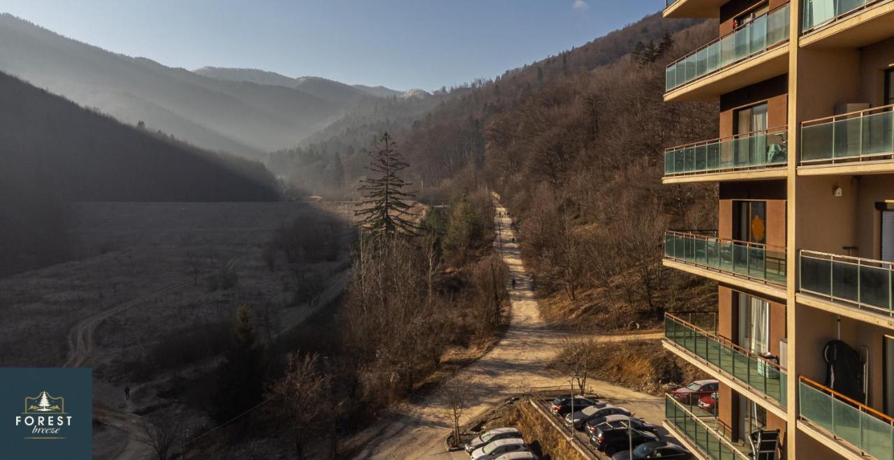 Forest Breeze Apartterrace Брашов Екстериор снимка