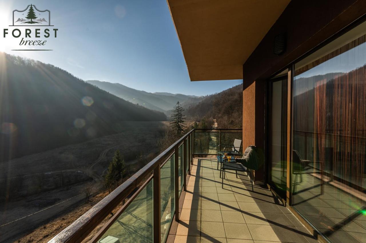 Forest Breeze Apartterrace Брашов Екстериор снимка