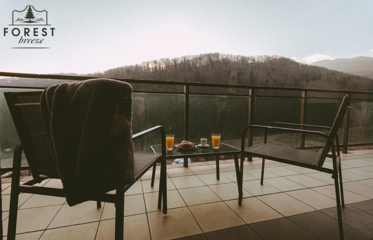 Forest Breeze Apartterrace Брашов Екстериор снимка
