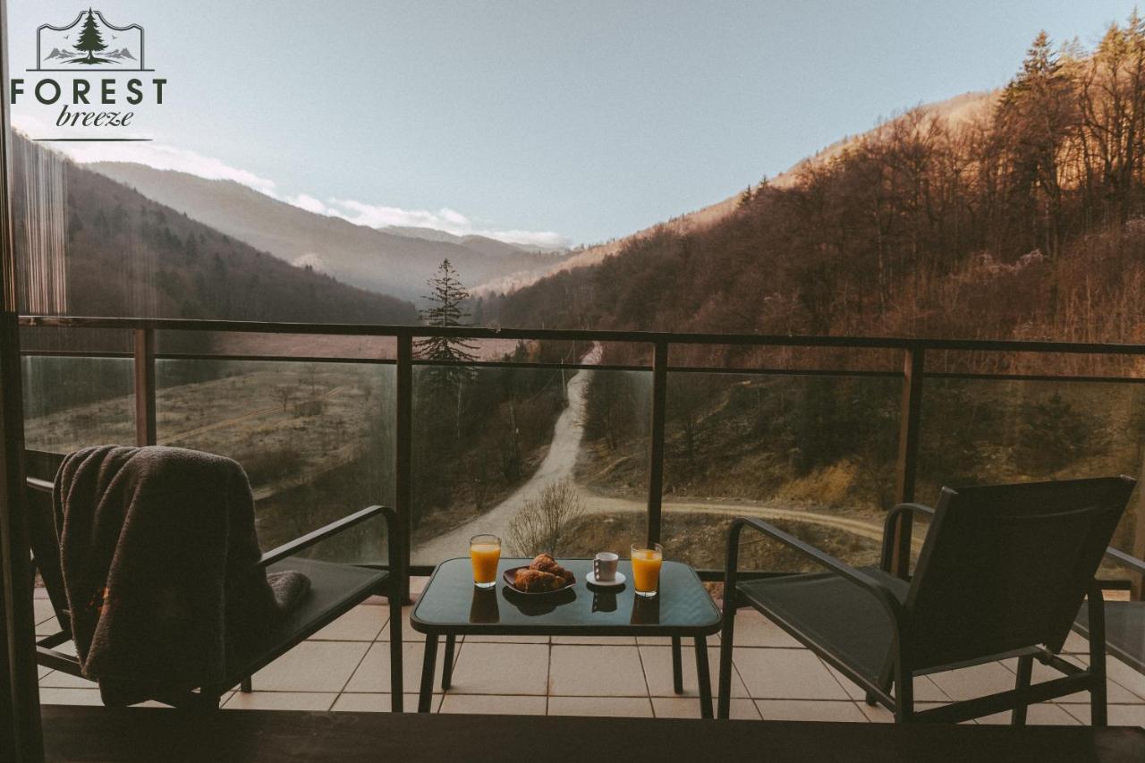 Forest Breeze Apartterrace Брашов Екстериор снимка
