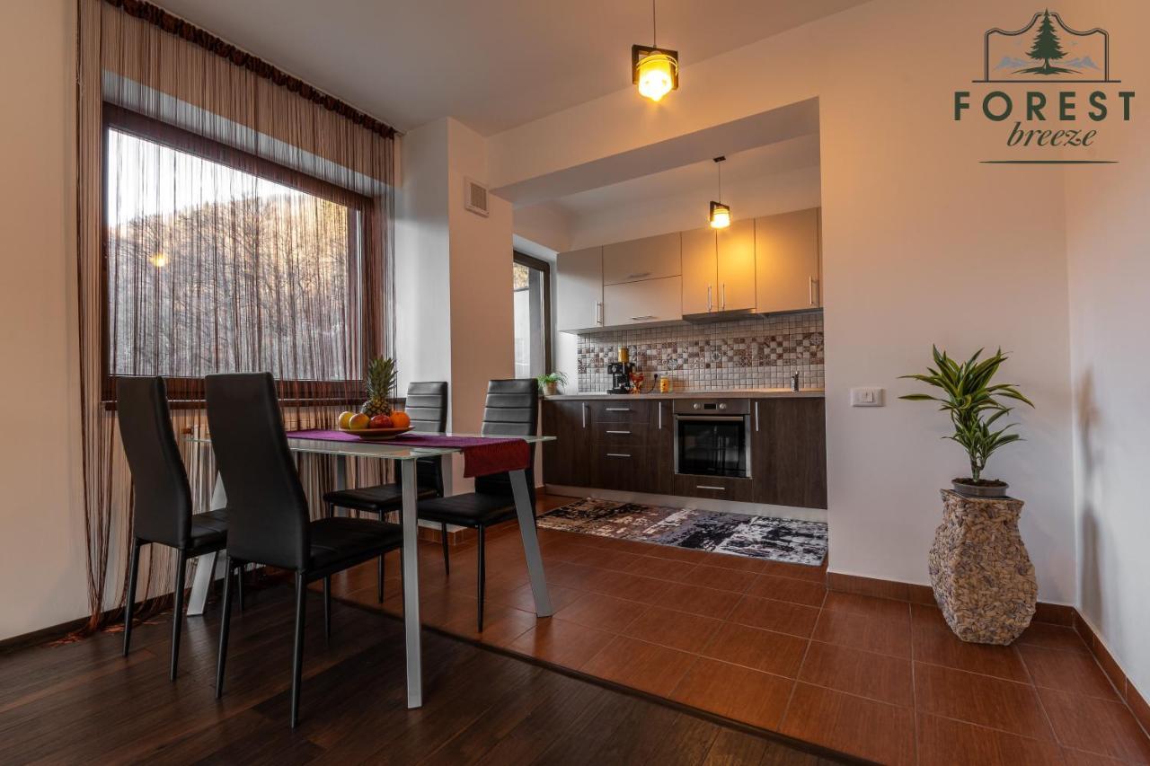 Forest Breeze Apartterrace Брашов Екстериор снимка