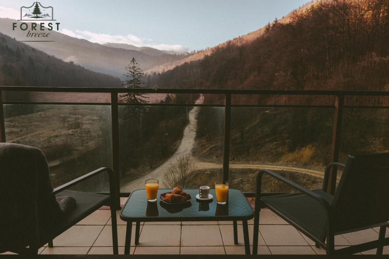 Forest Breeze Apartterrace Брашов Екстериор снимка