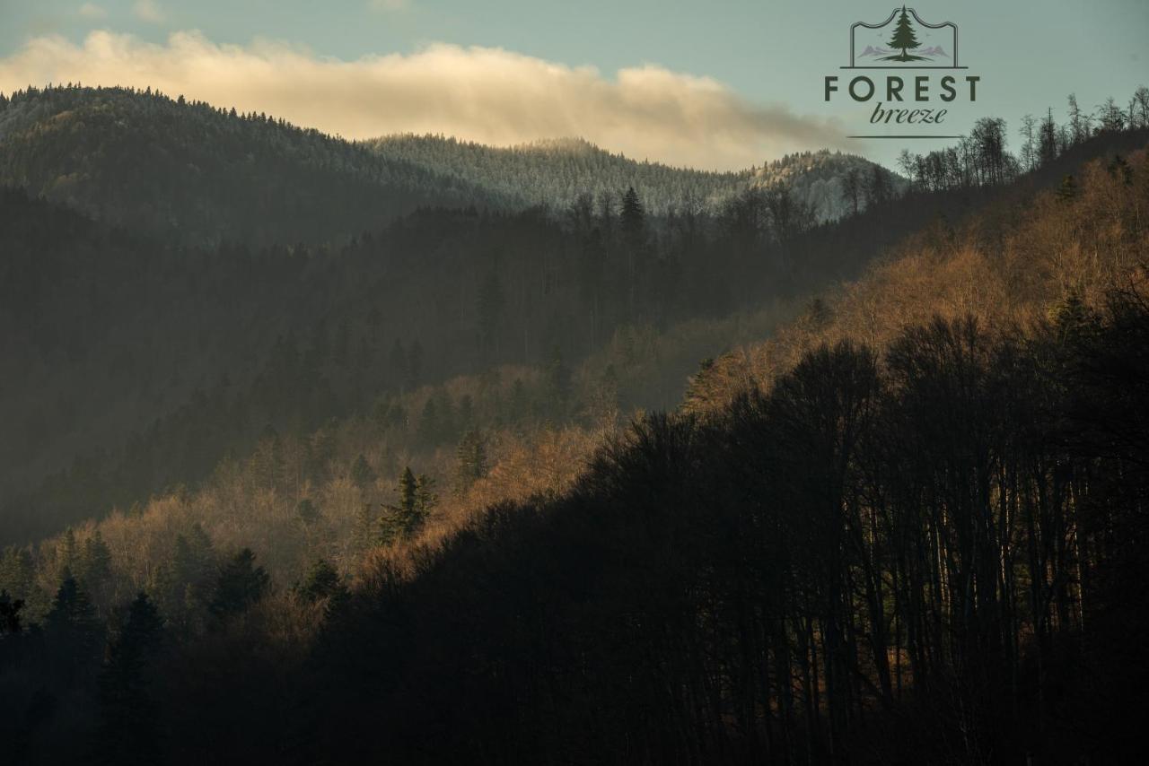 Forest Breeze Apartterrace Брашов Екстериор снимка