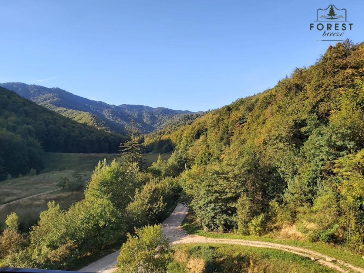 Forest Breeze Apartterrace Брашов Екстериор снимка