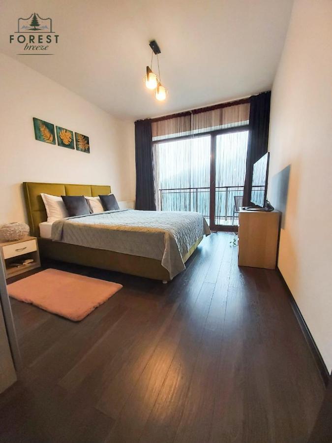 Forest Breeze Apartterrace Брашов Екстериор снимка