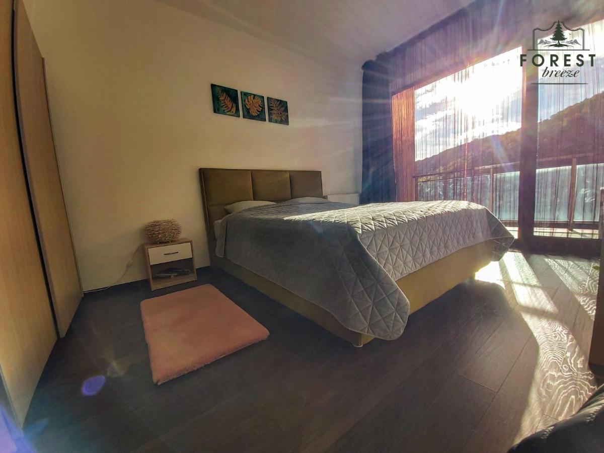 Forest Breeze Apartterrace Брашов Екстериор снимка